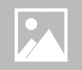 九游娱乐-重要助攻首场状态出色，塞尔维亚队观众沸腾！，Scout重返赛场再创辉煌时刻(抵澳大利亚首场外交乔治小王子超萌吸睛)